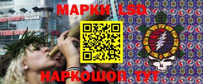 мдпв Владимир