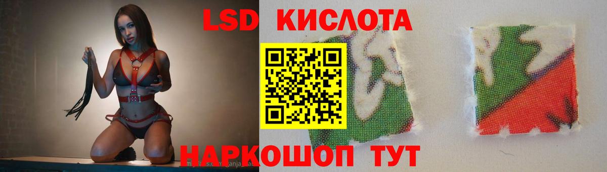 Новозыбков  ЛСД экстази ecstasy  Вход с VPN  LSD-25 экстази  Лсд 25 экстази ecstasy 