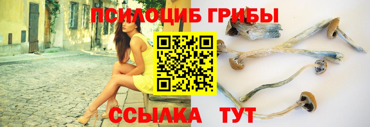 Галлюциногенные грибы MAGIC MUSHROOMS  Вход с VPN  Новозыбков 