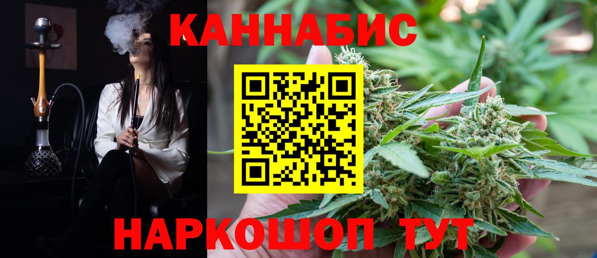 Шишки марихуана планчик  Вход с VPN  Новозыбков  Бошки марихуана тримм 