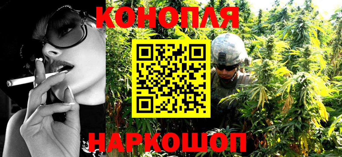 Шишки марихуана семена Новозыбков